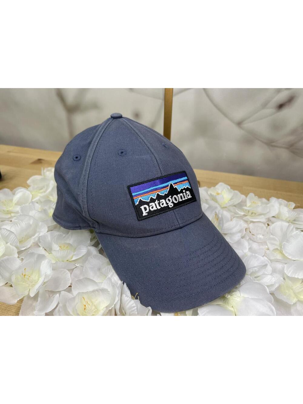 Patagonia Cap